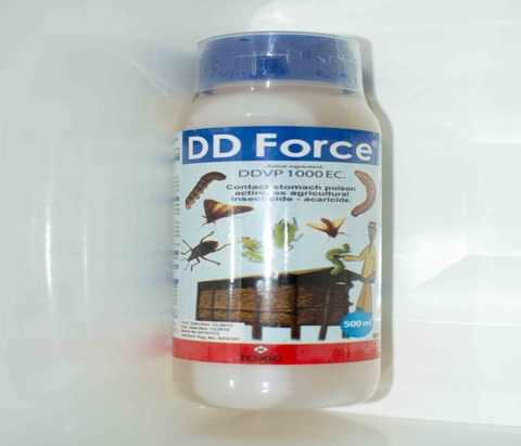 DD Force 